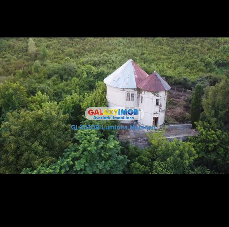 Vanzare casa / castel Darascu - Enigarescu Viforata S + P + 1E