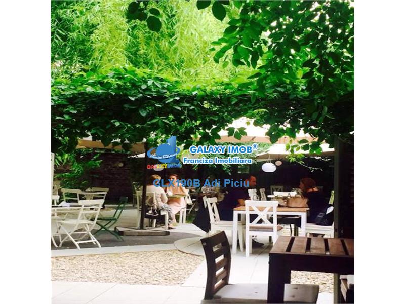 Inchiriere vila cu curte superba Cismigiu - Pretabila restaurant/birou