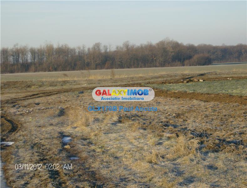 Teren Moara Vlasiei Snagov 14 Ha la  Nod Autostrada A3