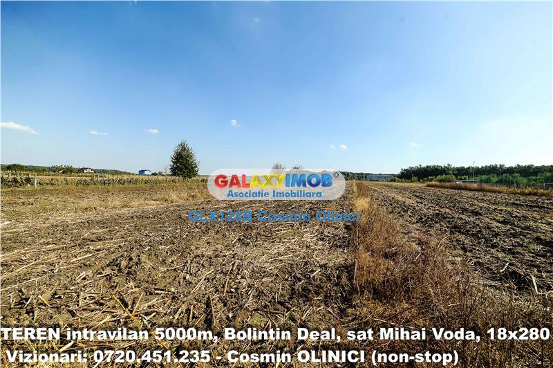 Vanzare teren Bolintin Deal, sat Mihai Voda, 5000m, intravilan, 18x280