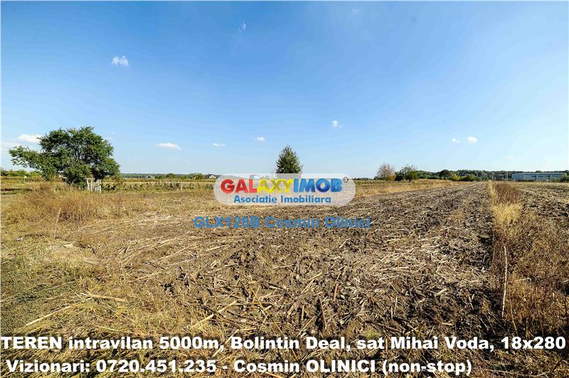 Vanzare teren Bolintin Deal, sat Mihai Voda, 5000m, intravilan, 18x280