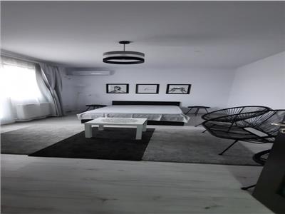 Inchiriere Apartament 2 camere Modern Theodor Pallady