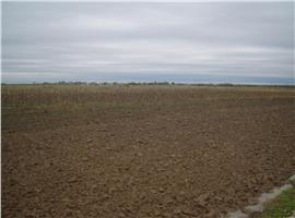 Vand teren extravilan agricol 34 ha, jud dambovita
